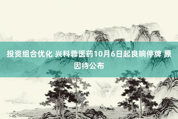 投资组合优化 兴科蓉医药10月6日起良晌停牌 原因待公布