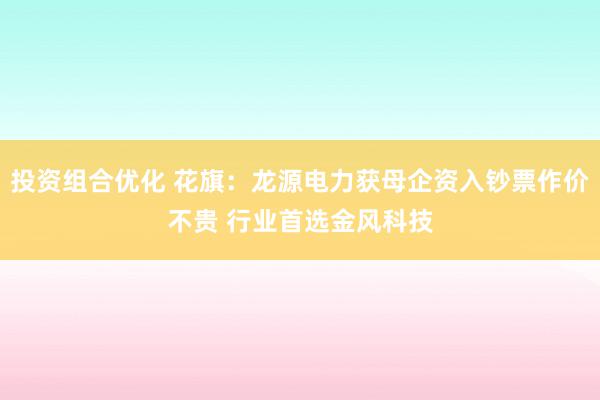 投资组合优化 花旗：龙源电力获母企资入钞票作价不贵 行业首选金风科技