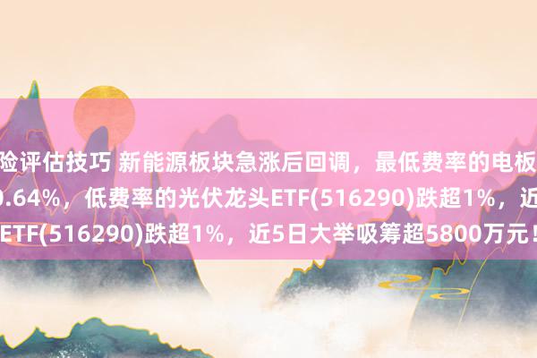 风险评估技巧 新能源板块急涨后回调，最低费率的电板50ETF(159796)收跌0.64%，低费率的光伏龙头ETF(516290)跌超1%，近5日大举吸筹超5800万元！