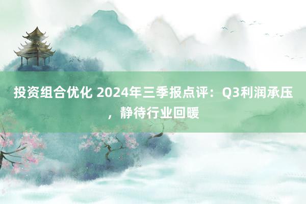 投资组合优化 2024年三季报点评：Q3利润承压，静待行业回暖