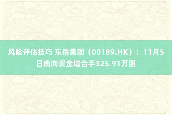 风险评估技巧 东岳集团（00189.HK）：11月5日南向资金增合手325.91万股