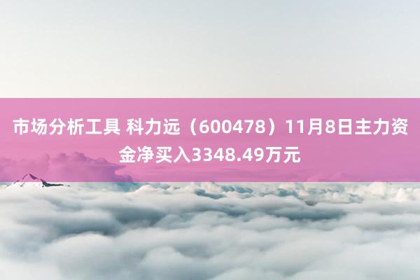 市场分析工具 科力远（600478）11月8日主力资金净买入3348.49万元