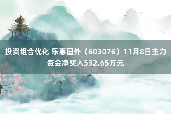 投资组合优化 乐惠国外（603076）11月8日主力资金净买入532.65万元