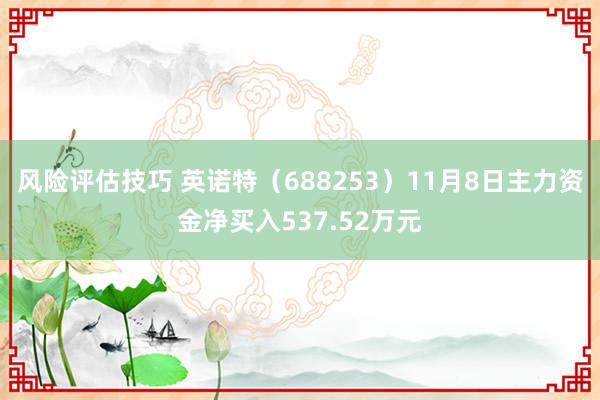 风险评估技巧 英诺特（688253）11月8日主力资金净买入537.52万元