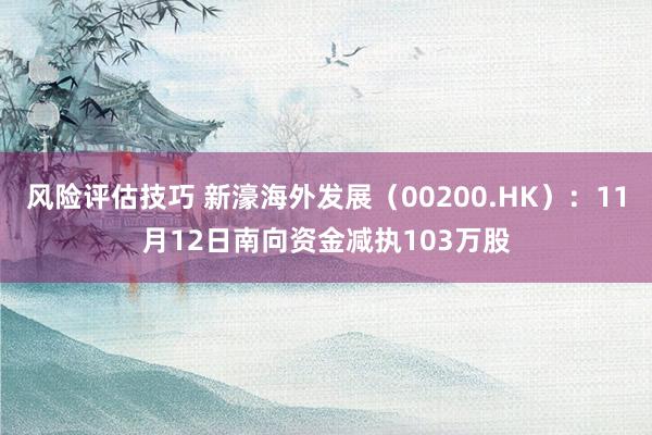 风险评估技巧 新濠海外发展（00200.HK）：11月12日南向资金减执103万股