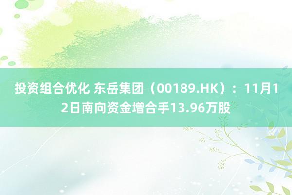 投资组合优化 东岳集团（00189.HK）：11月12日南向资金增合手13.96万股