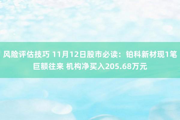 风险评估技巧 11月12日股市必读：铂科新材现1笔巨额往来 机构净买入205.68万元