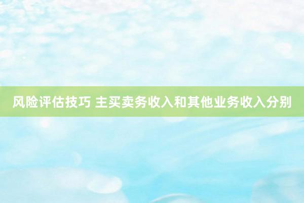 风险评估技巧 主买卖务收入和其他业务收入分别