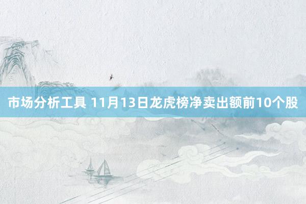 市场分析工具 11月13日龙虎榜净卖出额前10个股