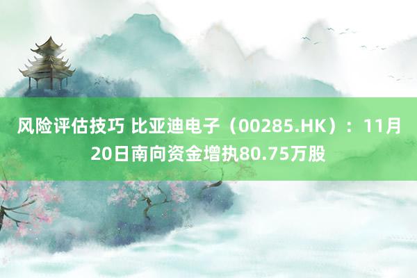 风险评估技巧 比亚迪电子（00285.HK）：11月20日南向资金增执80.75万股