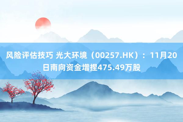 风险评估技巧 光大环境（00257.HK）：11月20日南向资金增捏475.49万股