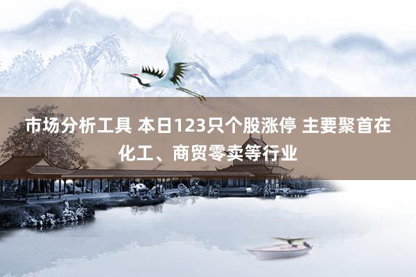 市场分析工具 本日123只个股涨停 主要聚首在化工、商贸零卖等行业