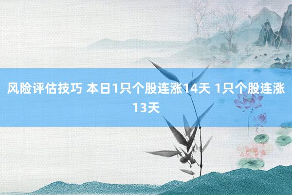 风险评估技巧 本日1只个股连涨14天 1只个股连涨13天