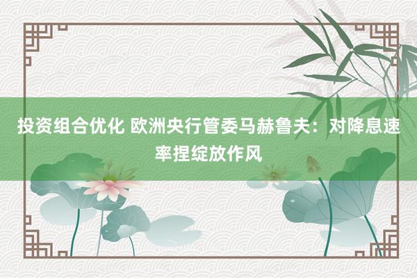 投资组合优化 欧洲央行管委马赫鲁夫：对降息速率捏绽放作风