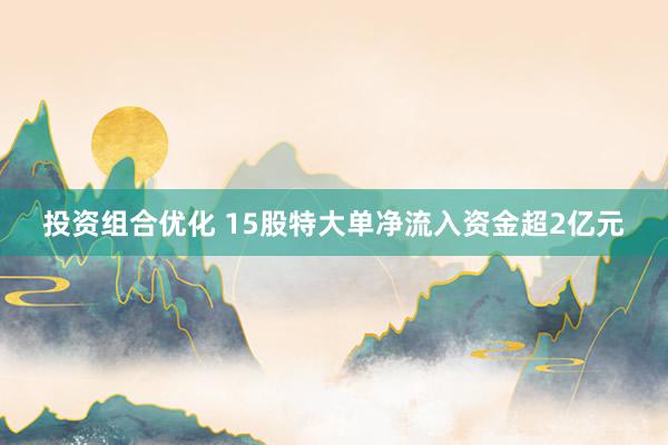 投资组合优化 15股特大单净流入资金超2亿元