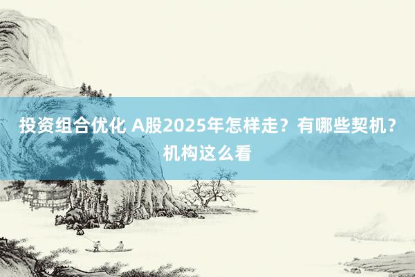 投资组合优化 A股2025年怎样走？有哪些契机？机构这么看