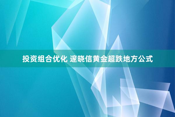 投资组合优化 邃晓信黄金超跌地方公式