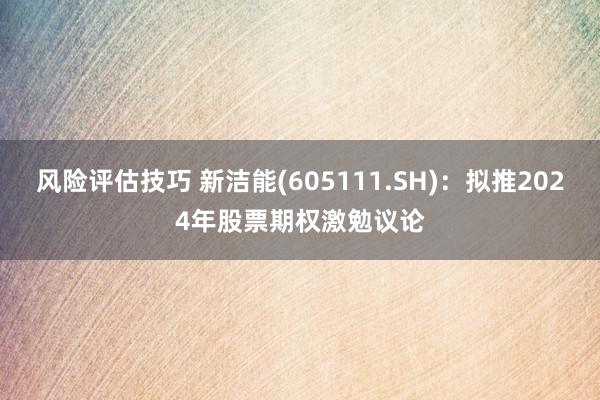 风险评估技巧 新洁能(605111.SH)：拟推2024年股票期权激勉议论