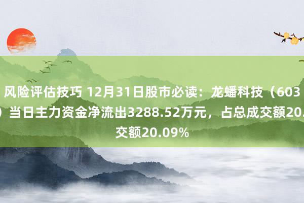 风险评估技巧 12月31日股市必读：龙蟠科技（603906）当日主力资金净流出3288.52万元，占总成交额20.09%