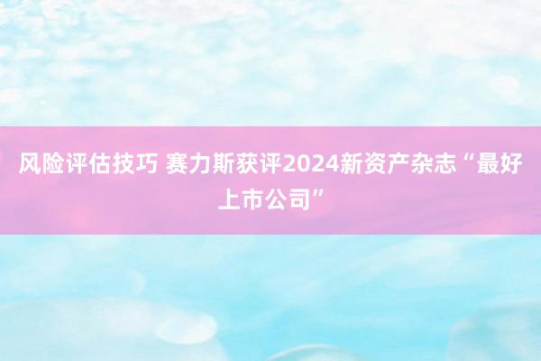 风险评估技巧 赛力斯获评2024新资产杂志“最好上市公司”