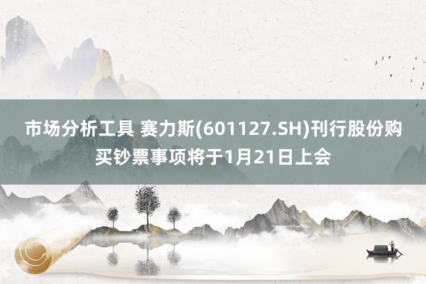 市场分析工具 赛力斯(601127.SH)刊行股份购买钞票事项将于1月21日上会