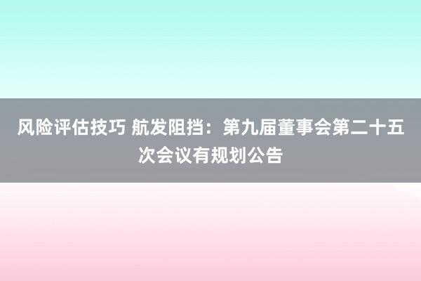 风险评估技巧 航发阻挡：第九届董事会第二十五次会议有规划公告