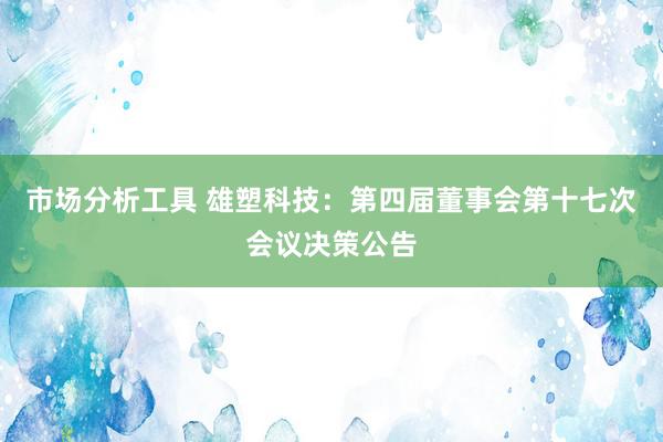 市场分析工具 雄塑科技：第四届董事会第十七次会议决策公告