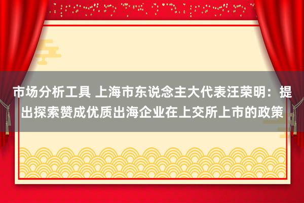 市场分析工具 上海市东说念主大代表汪荣明：提出探索赞成优质出海企业在上交所上市的政策