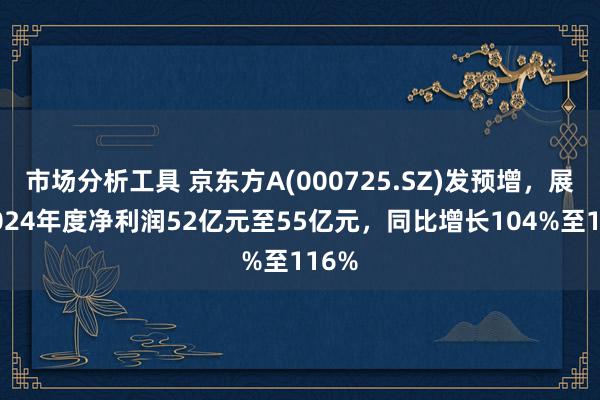 市场分析工具 京东方A(000725.SZ)发预增，展望2024年度净利润52亿元至55亿元，同比增长104%至116%