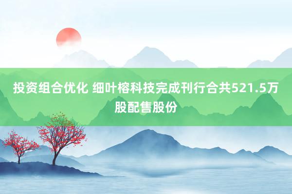 投资组合优化 细叶榕科技完成刊行合共521.5万股配售股份