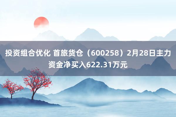 投资组合优化 首旅货仓（600258）2月28日主力资金净买入622.31万元