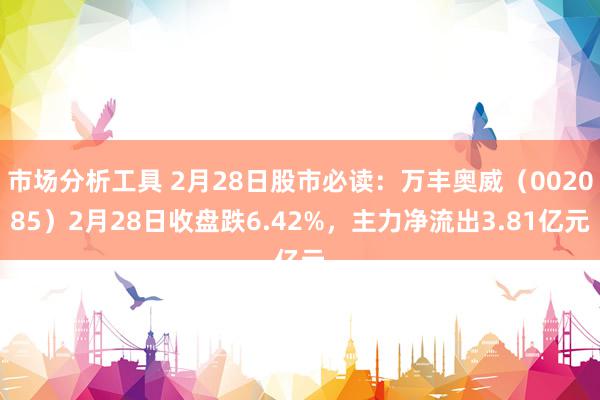 市场分析工具 2月28日股市必读：万丰奥威（002085）2月28日收盘跌6.42%，主力净流出3.81亿元