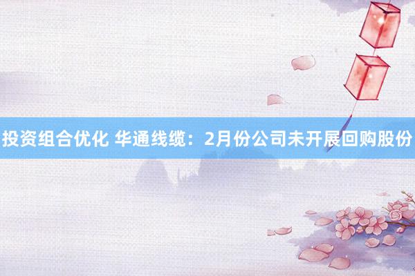 投资组合优化 华通线缆：2月份公司未开展回购股份