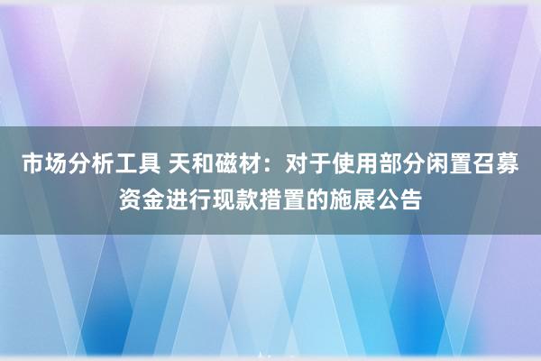 市场分析工具 天和磁材：对于使用部分闲置召募资金进行现款措置的施展公告