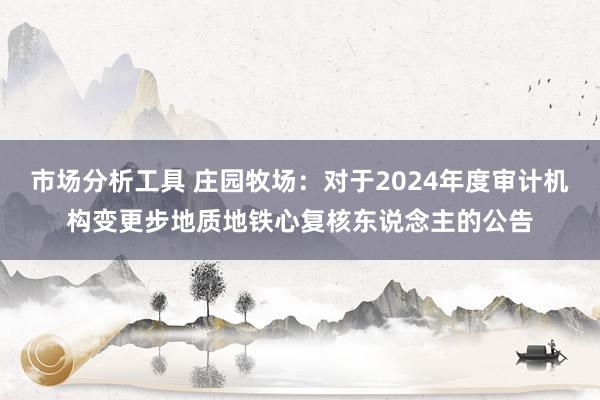 市场分析工具 庄园牧场：对于2024年度审计机构变更步地质地铁心复核东说念主的公告