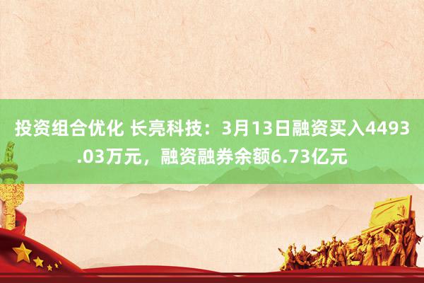 投资组合优化 长亮科技：3月13日融资买入4493.03万元，融资融券余额6.73亿元