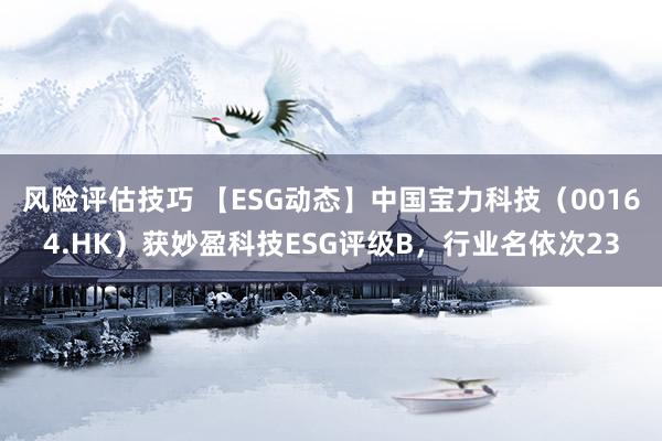 风险评估技巧 【ESG动态】中国宝力科技（00164.HK）获妙盈科技ESG评级B，行业名依次23