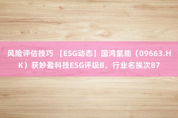 风险评估技巧 【ESG动态】国鸿氢能（09663.HK）获妙盈科技ESG评级B，行业名挨次87